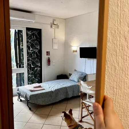 Apartamento Jardim T0