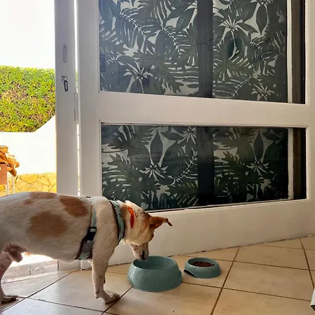 Apartamento Jardim T0 *