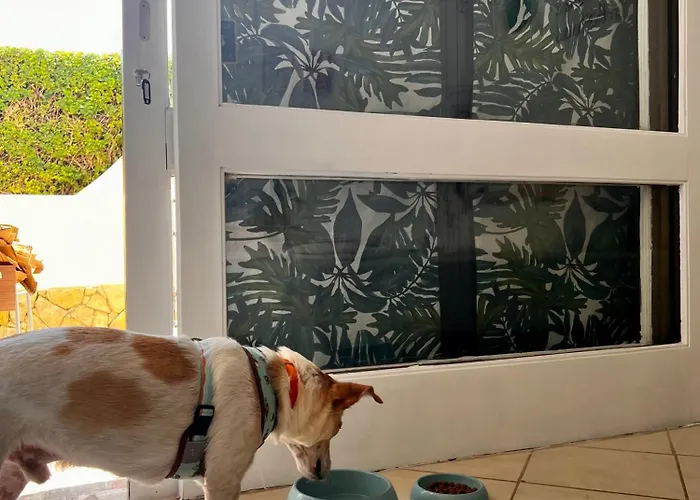 Διαμέρισμα Jardim T0 *