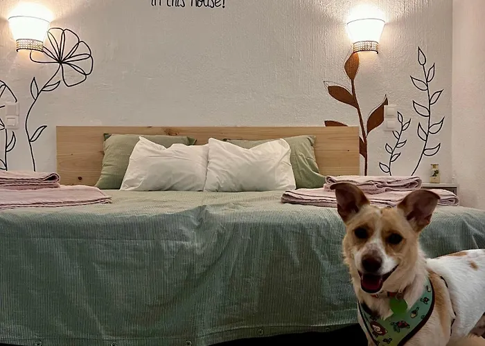 Διαμέρισμα Jardim T0